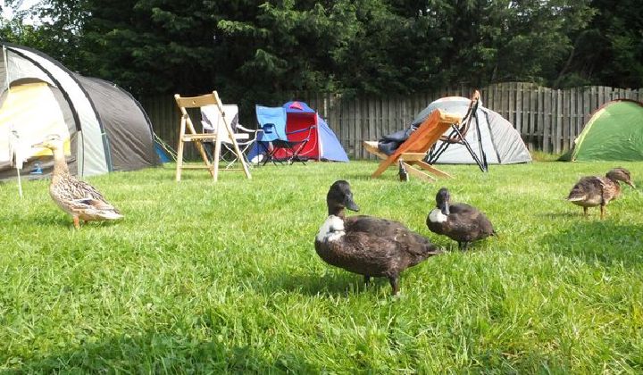Loosdrecht